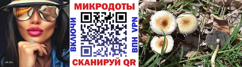 Галлюциногенные грибы Psilocybe  Купить  Фёдоровский 